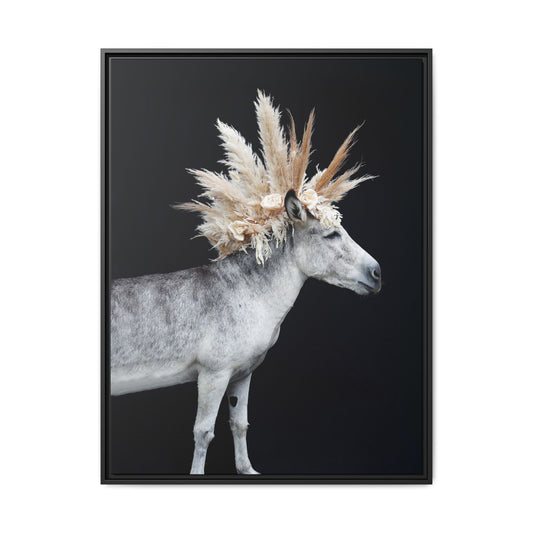 Mohicano