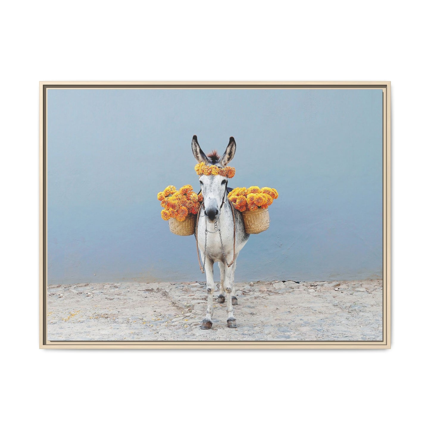 Donkey with Marigolds Framed Canvas Print — Whimsical Farmhouse Wall Art