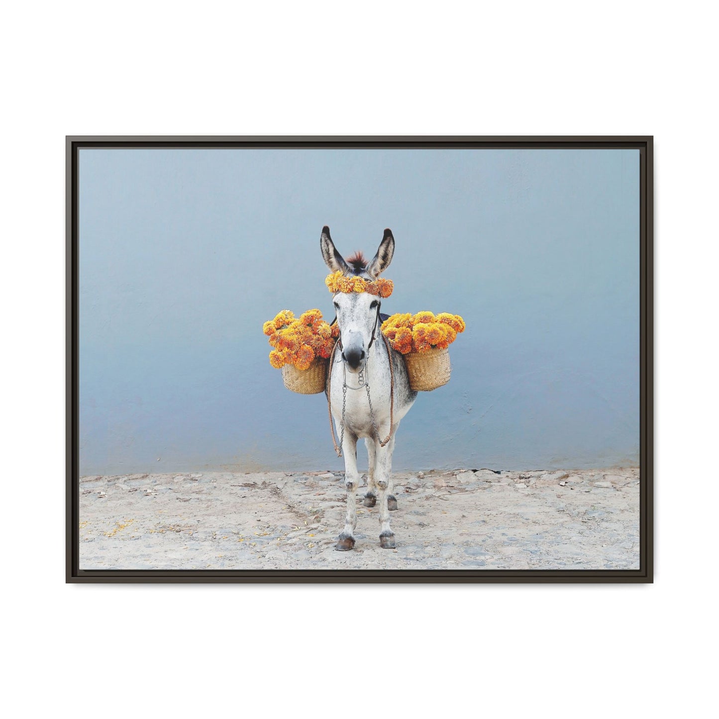 Donkey with Marigolds Framed Canvas Print — Whimsical Farmhouse Wall Art