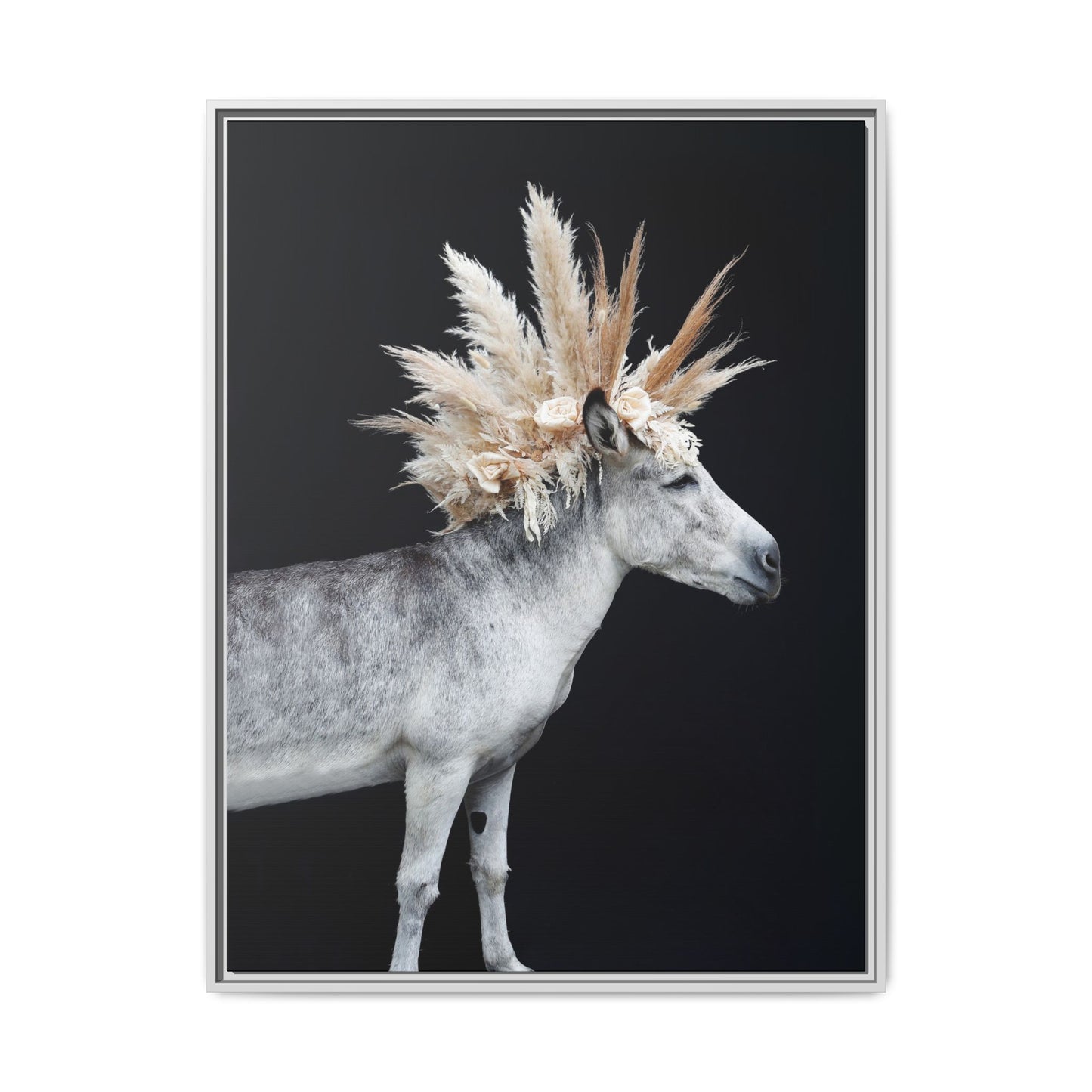 Mohicano
