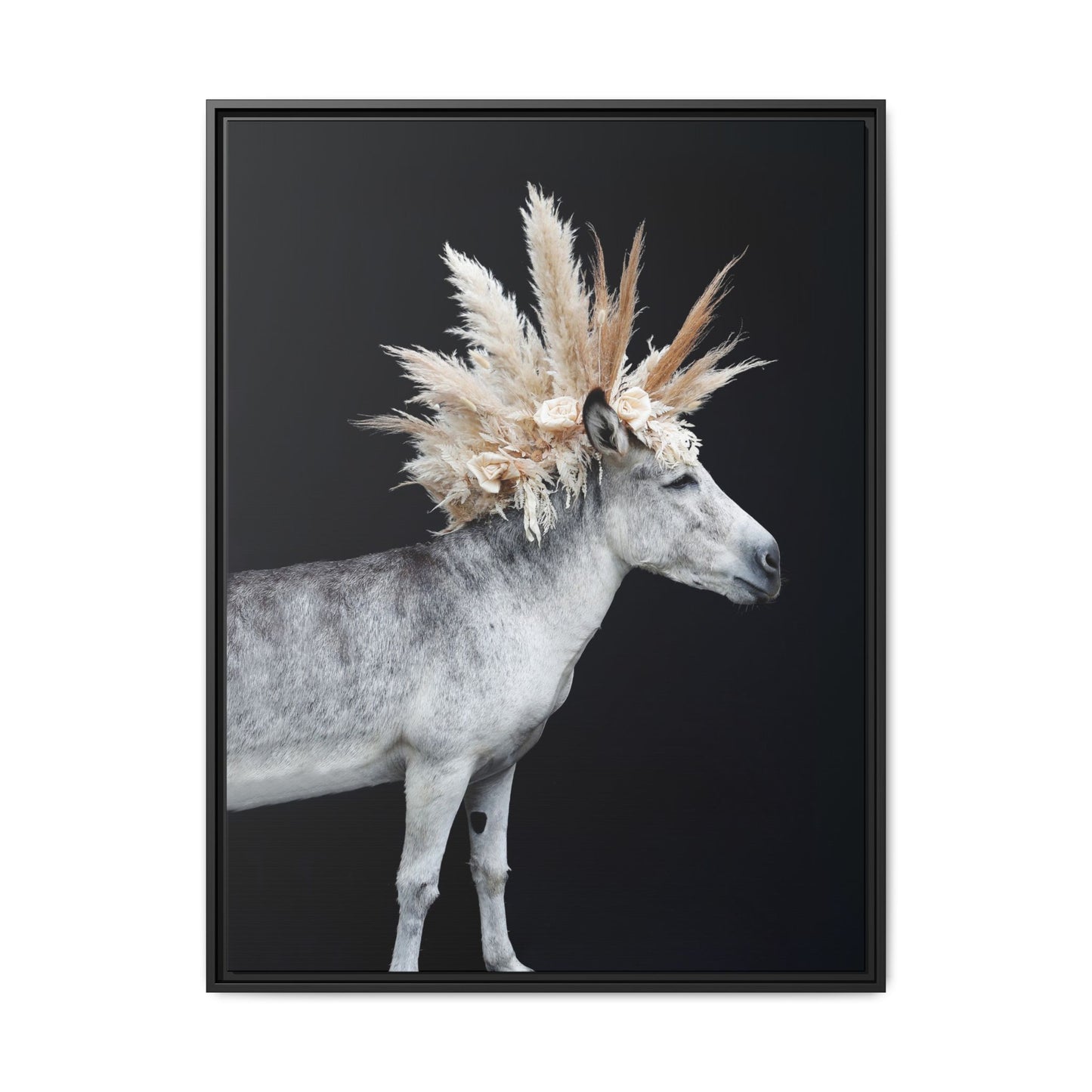 Mohicano