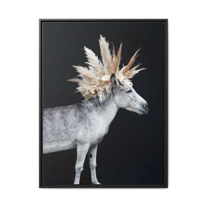 Mohicano