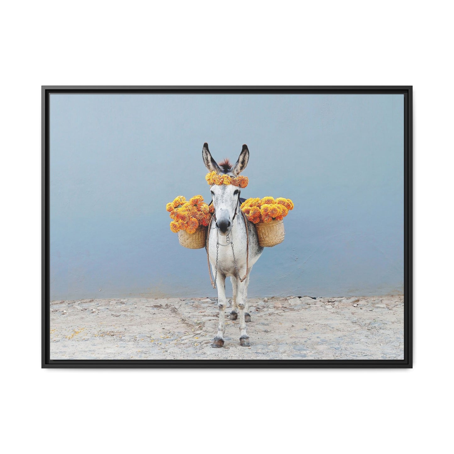 Donkey with Marigolds Framed Canvas Print — Whimsical Farmhouse Wall Art