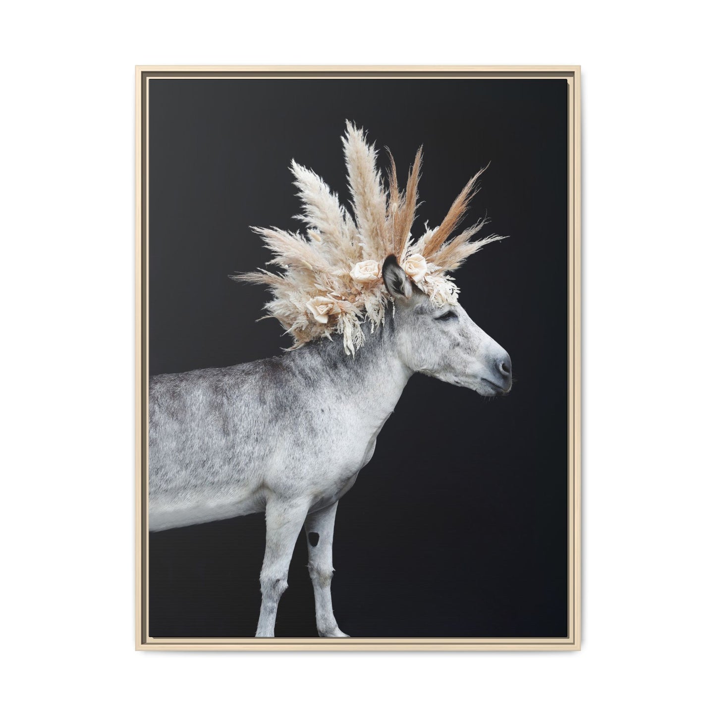 Mohicano