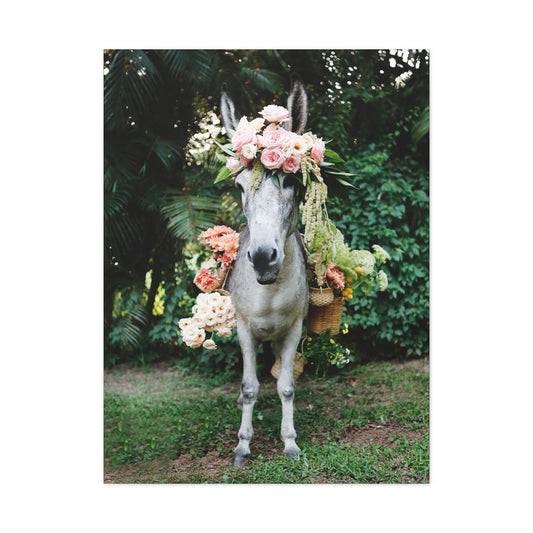 Florales exuberantes