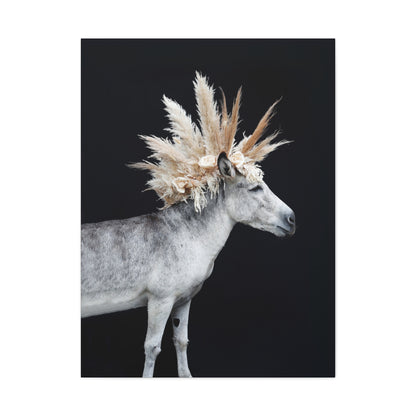 Mohicano