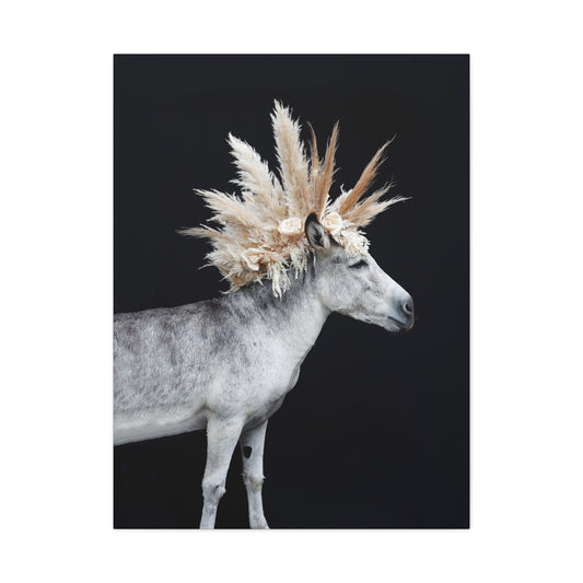 Mohicano