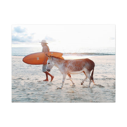 Surf