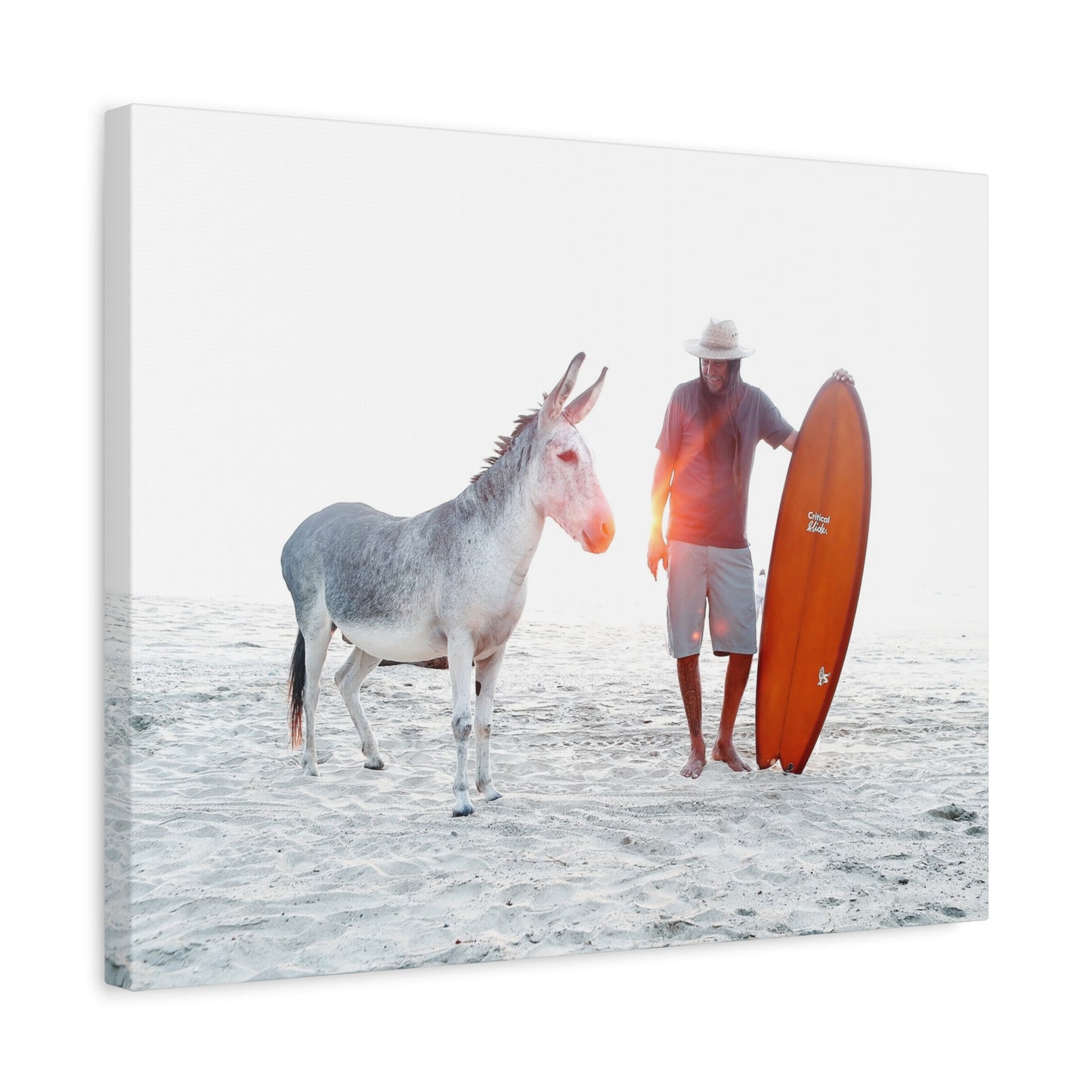 Surfista